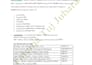 create,design,edit ms word,excel and powerpoint document